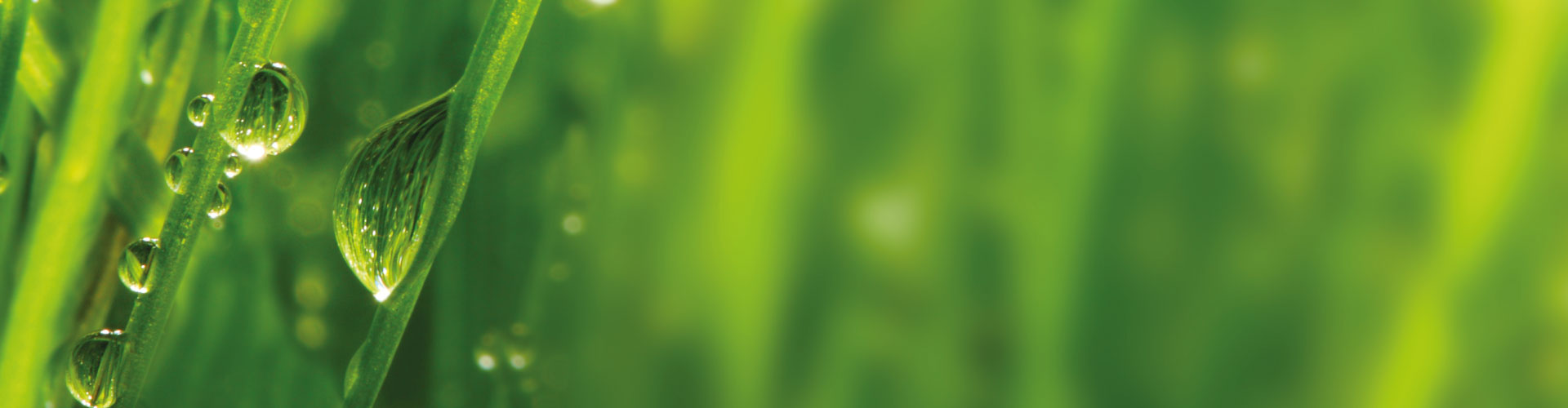 Sostenibilità-Ambientale-Economica-Sociale-Decarbonizzazione-Prodotti-Ridotto-Impatto-Ambientale-Chimiver-1