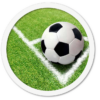 Pulizia-Manutenzione-Trattamento-Campi-Erba-Sintetica-Lavare-Prato-Manto-Sintetico-Sportivo-Esterno-Professionisti-Chimiver