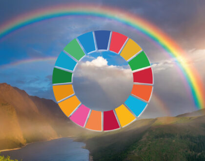 Azienda-Italiana-Prodotti-Professionali-Sostenibili-Posa-Trattamento-Manutenzione-Pavimenti-Legno-Parquet-Resina-Resilienti-Decking-WPC-Erba-Sintetica-Progettisti-Chimiver-SDGS's